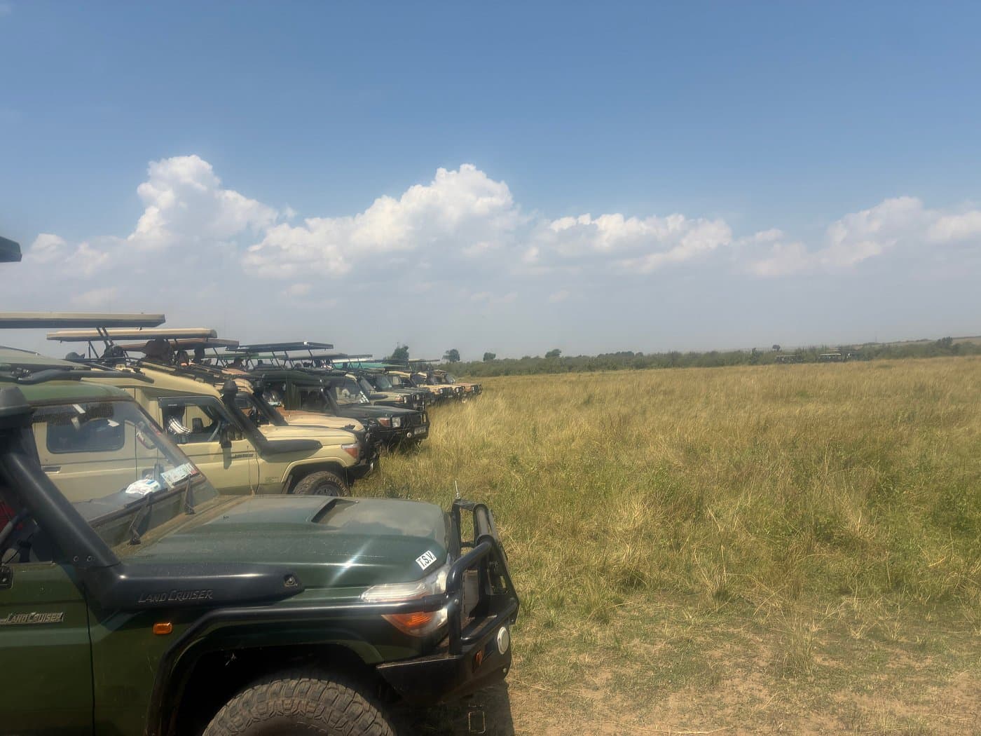 Maasai Mara destination experience in Kenya