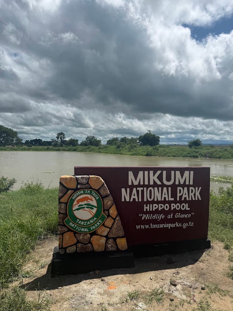 Hippo Pool wildlife experience in the Morogoro region