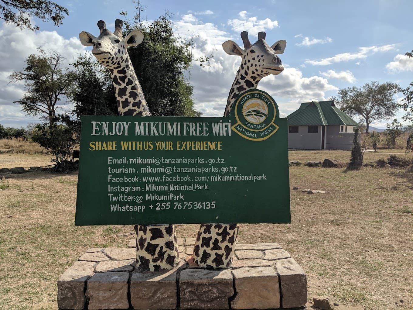 Mikumi wildlife experience in the Morogoro region