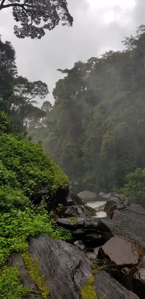 Mountain trail experience in the Morogoro region