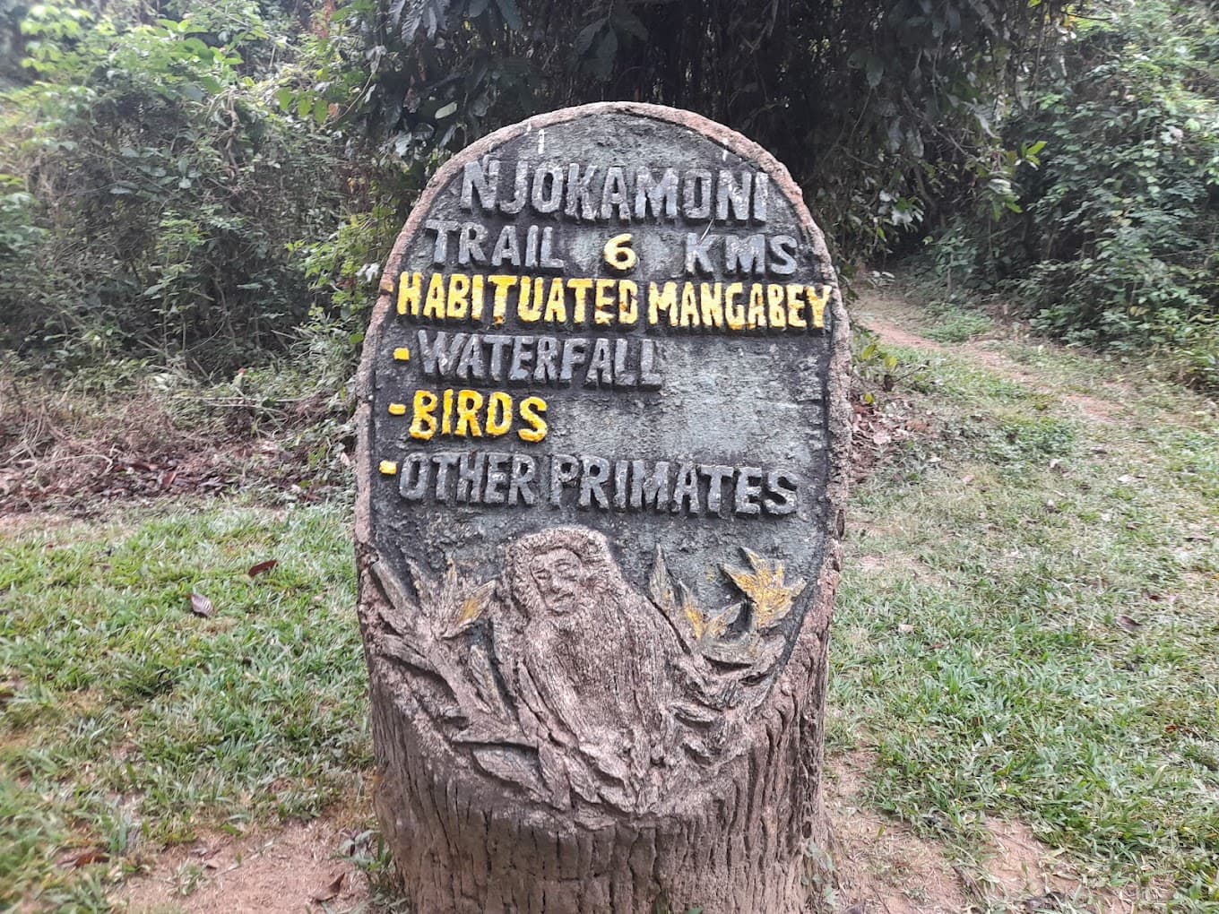 Njokamoni experience near Morogoro