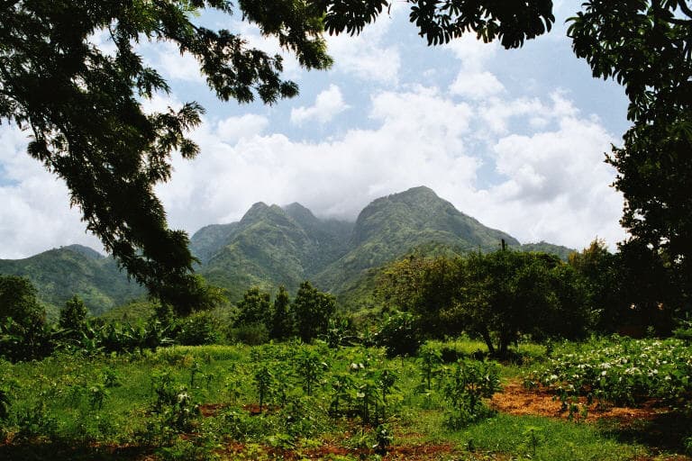 Uluguru mountain scenery near Morogoro