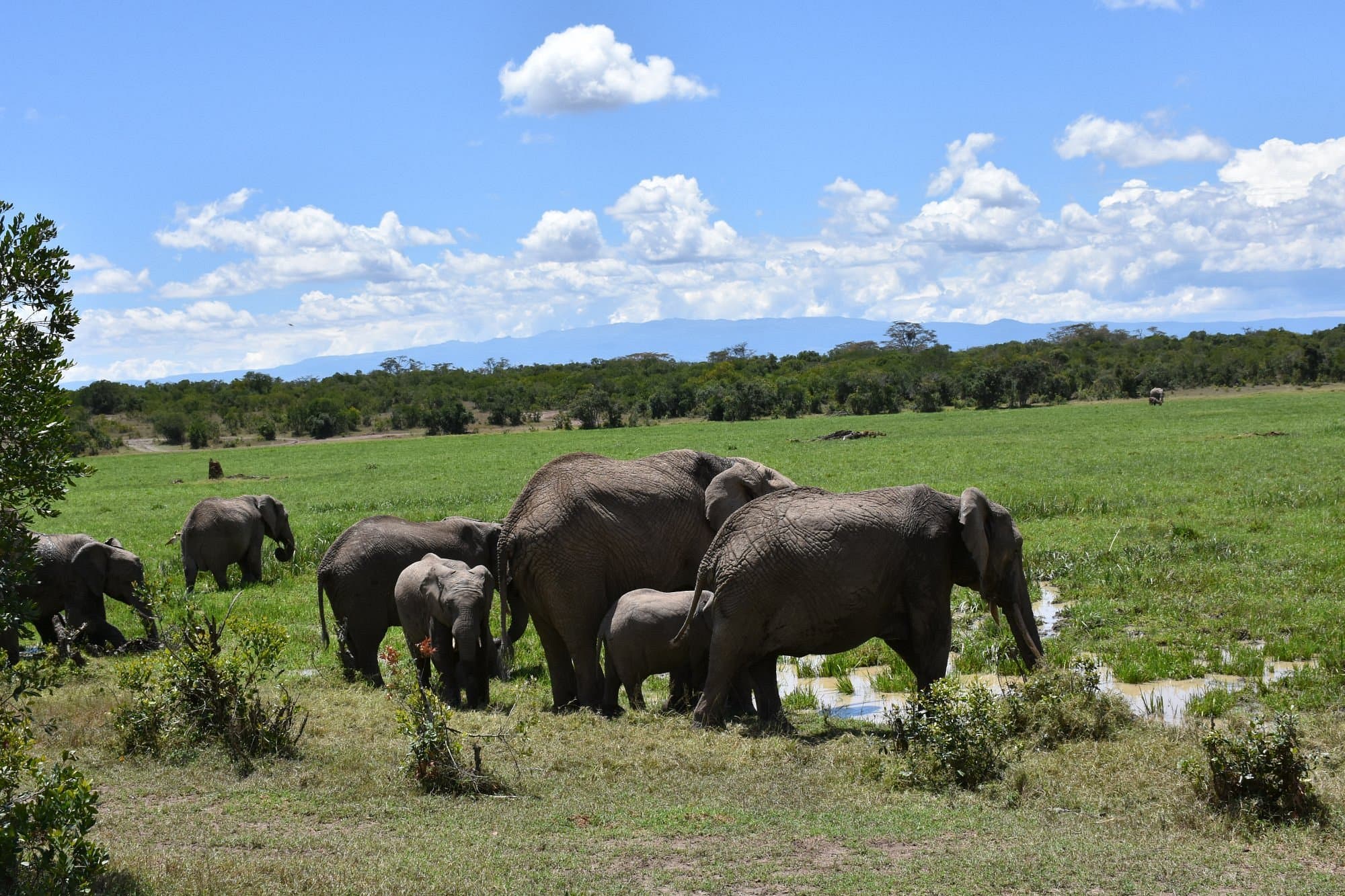 Ol Pejeta Conservancy destination experience in Kenya